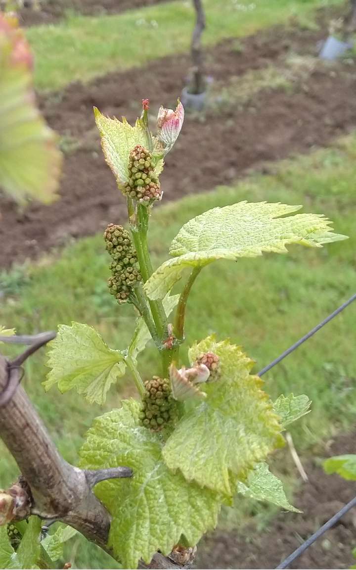Po zimie 6